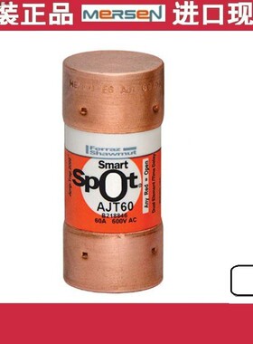 MERSEN ferraz保险丝 AJT50 AJT60 AJT70 AJT80 90 AJT100 600V