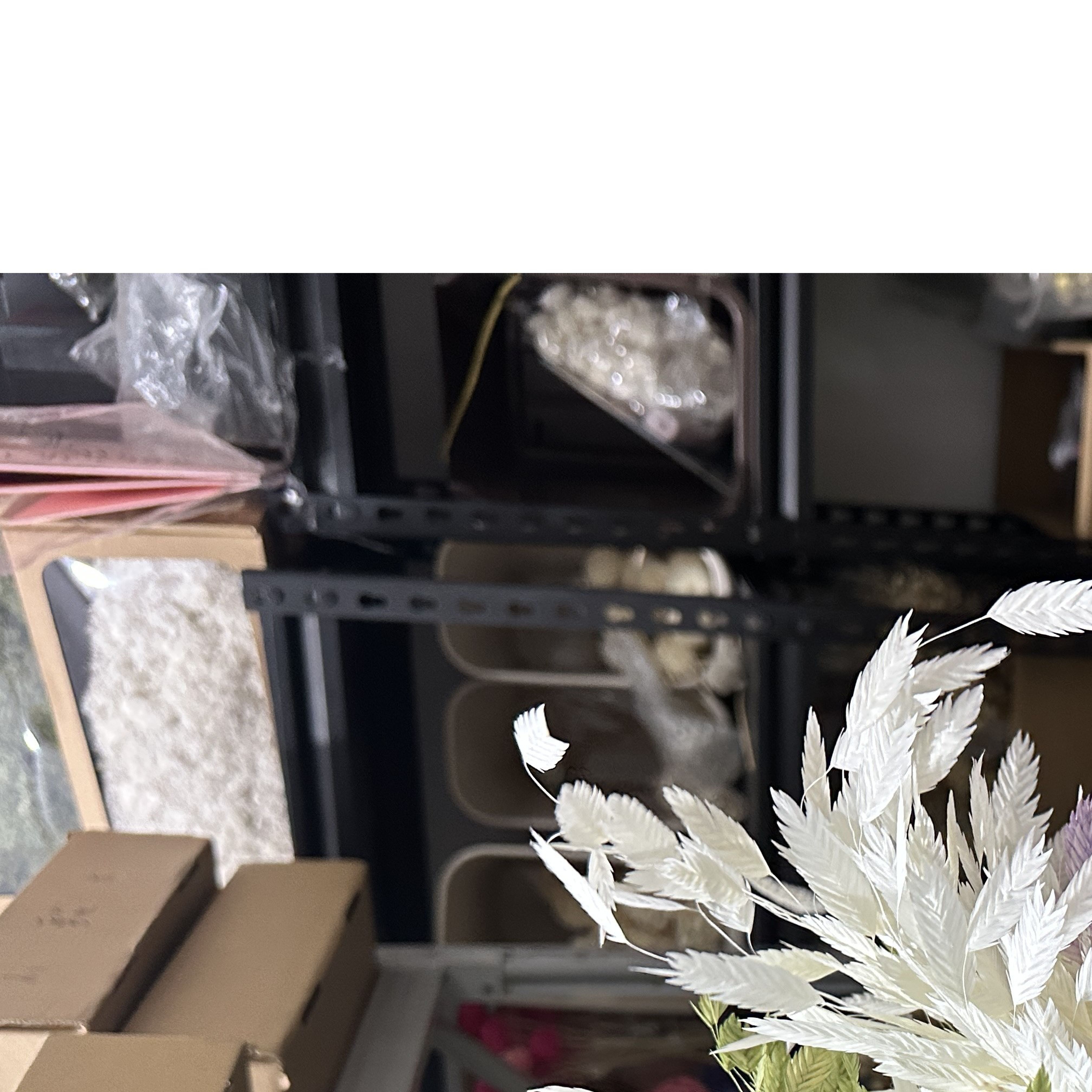 小盼草10支一束漂白干花灵动花束diy花艺样板间摆放芦苇花真花ins