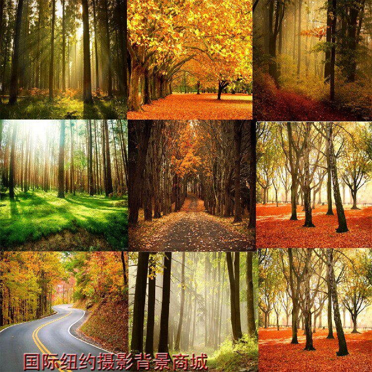 韩式婚纱摄影背景布影楼婚纱主题拍照背景布自然风景绿树草地2016