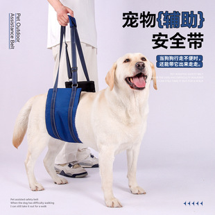 专供宠物辅助带老年犬残疾犬康复胸背带可调节反光牵引绳
