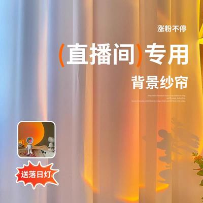 直播间专用主播白纱背景窗帘免打孔魔术贴简易安装高级感场景布置
