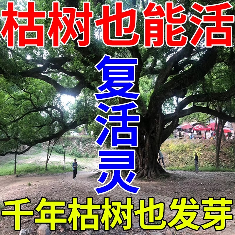 树不活我死】枯树再生液复活营养液提高移栽成活率生长僵苗复活灵