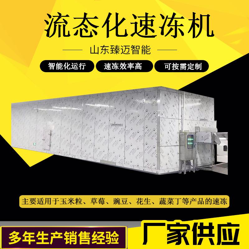 供应大小型西兰花水果蔬菜丁速冻设备商用全自动流态化速冻机
