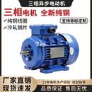 铝壳电机. .W节能变频 厂家现货YE