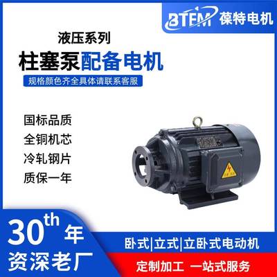 柱塞泵高压清洗机电机液压油泵马达全铜机芯三相电动机节能高效