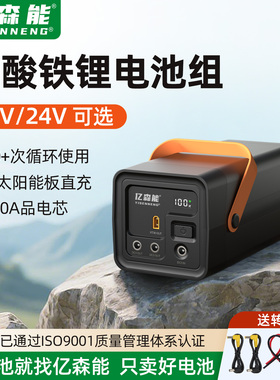 亿森能磷酸铁锂电池12V24V大容量UPS不间断备用电源大功率可充电