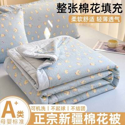 a类母婴级双层纱棉花夏被夏凉被空调被午睡薄被子被芯夏季ins儿童