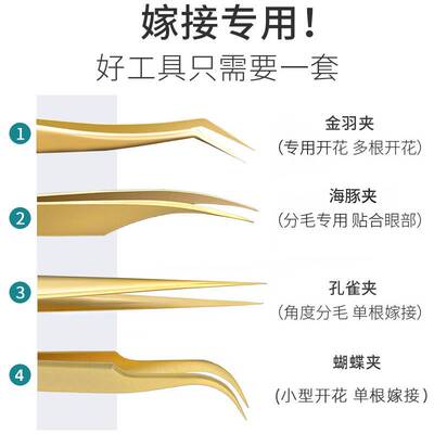 睫毛夹金羽夹海豚夹开花嫁接睫毛镊子美妆工具美睫毛眉夹跨境直