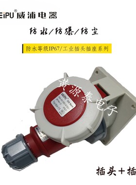 威浦防水工业插头插座16A5芯暗装插座TYP3624配TYP175