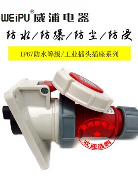 WEIPU威浦工业插头TYP173配暗装斜式TYP3619 防水IP67 4芯16A