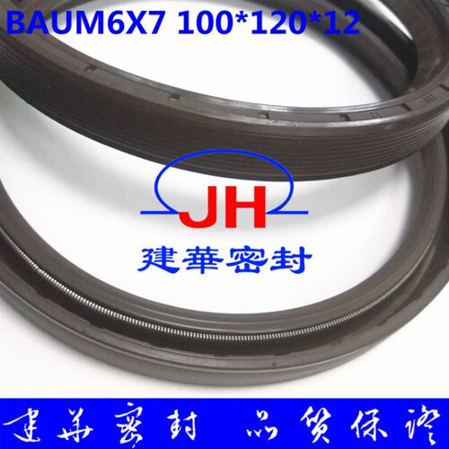 德国标准BAUM6X7 100*120*12 氟胶咖啡色高温单唇骨架油封CFW标准