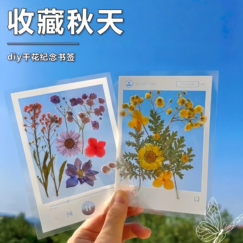 透明花书签手工diy制作材料干花树叶植物标本塑封膜瓶子里的四季