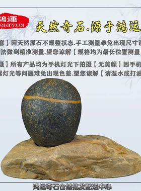 天然小石头玉石盆景石鱼缸石头玉石观赏石把玩石龟晒石小孤品