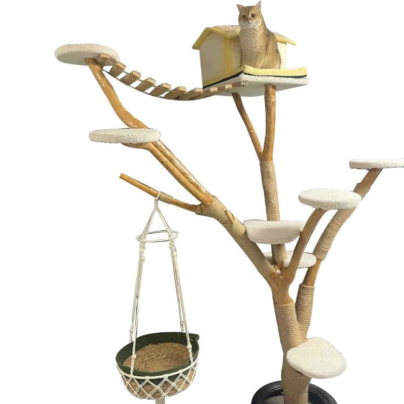 大型猫爬架实木树干耐磨不粘毛猫咖猫舍装饰树猫爬架猫窝猫树一体