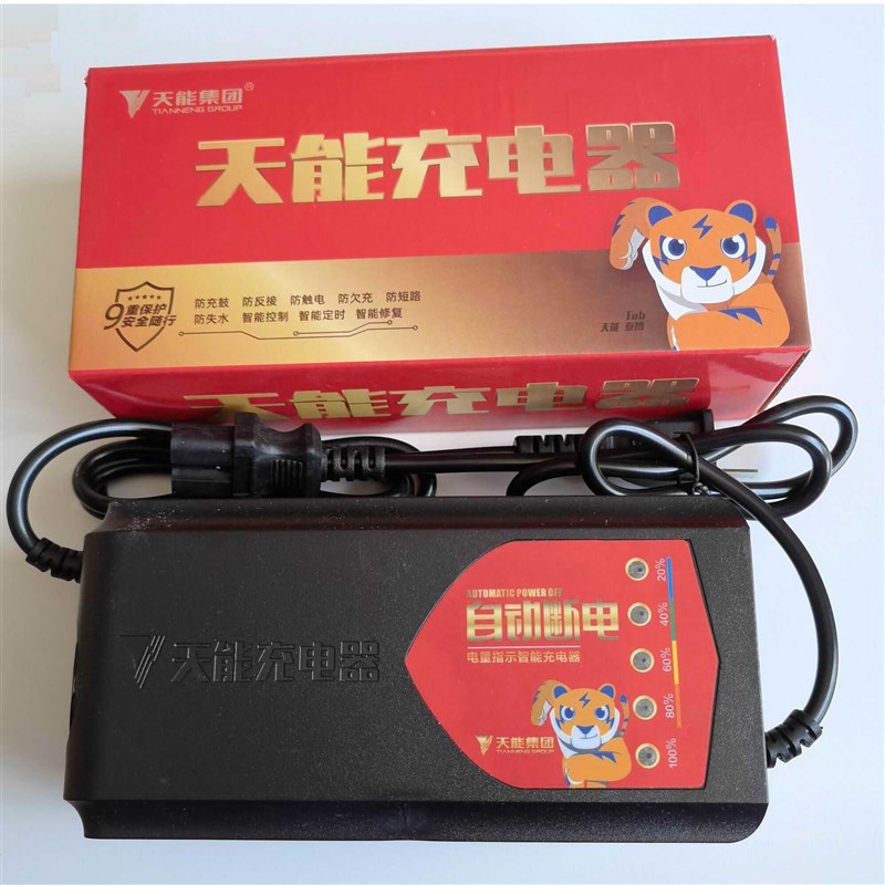 V2V铅酸电池充电器.电动车天能车8v0v72v8V9V充电器