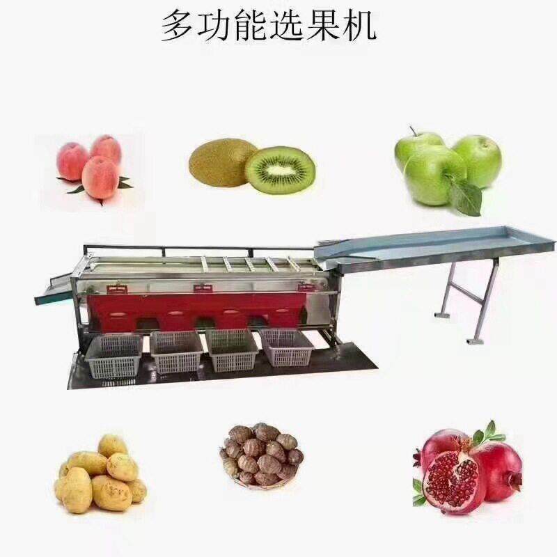 多级山竹分级机 樱桃黄皮果分果机 香水柠檬分选机 分级均匀
