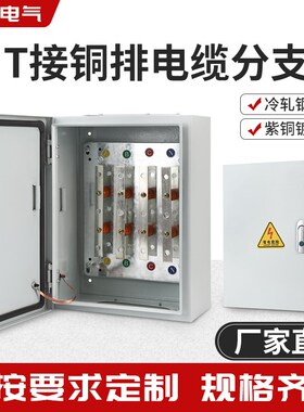 T接电缆端子g箱BTTZ矿物质电缆分支箱绝缘楼层桥架铜排转换配电箱