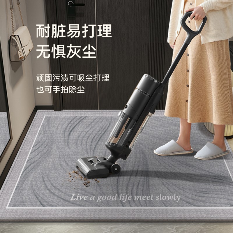 入户地毯进门地垫2024新款家用高级感耐脏玄关门垫室内门口脚踏垫