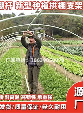 玻璃纤维拱棚支架遮阳网避雨农用薄膜果树爬藤Q蔬菜大棚支架搭架