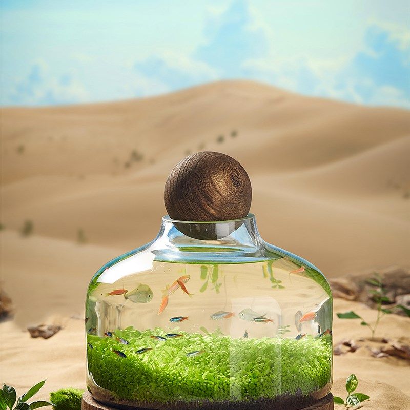 玻璃鱼缸鱼虾水草自循环微景观办公室迷你植物免换水打理生态鱼瓶