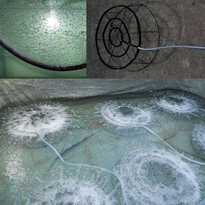 爆气盘增氧盘曝气盘纳米气盘浸塑盘曝气管高底盘水底增氧器曝气盘