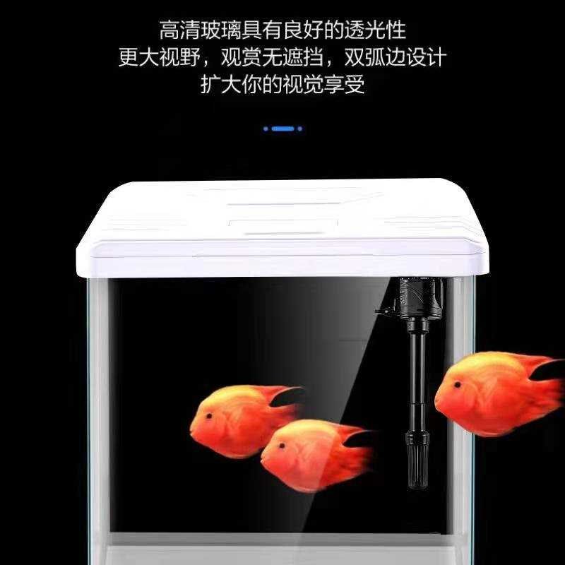 新款免换水懒人桌面鱼缸特色生态增氧水族箱水草缸居家办公风景玻