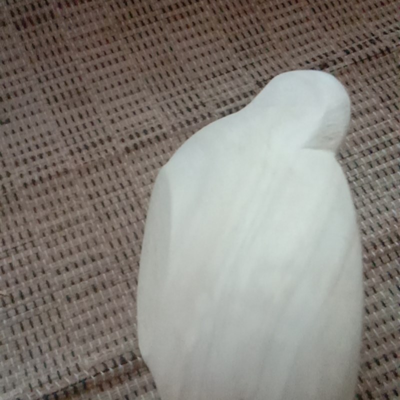 木胎大漆耳杯漆器酒杯漆艺彩绘胚漆画材料金缮微瑕DIY新品订制