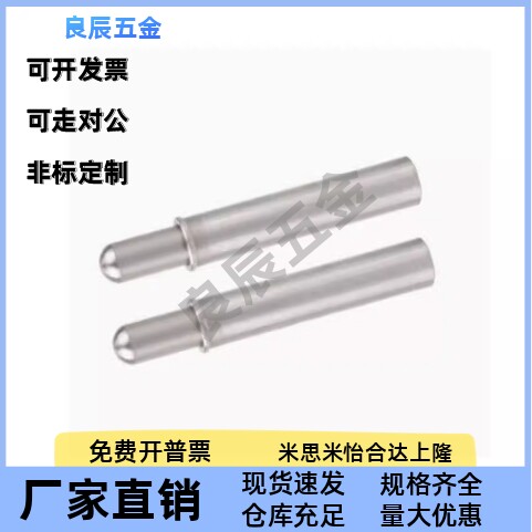 ZAS11/12-D1.5/2/3/4/5-H1.5/3/4/6/8/9/12小径弹簧柱塞 定位柱