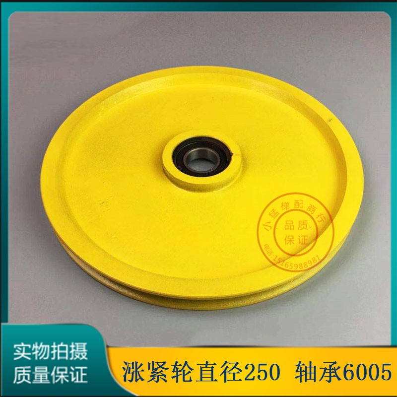 西子奥的斯限速器重锤坠陀涨紧装置涨紧轮250轴承6005 电梯配件