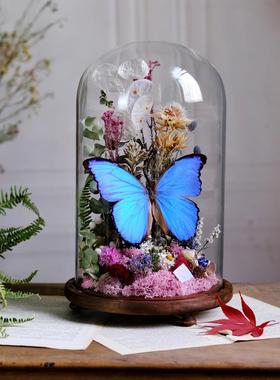 蝴蝶标本玻璃罩摆件大蓝闪蝶书房复古家居软装植物标本创意礼物