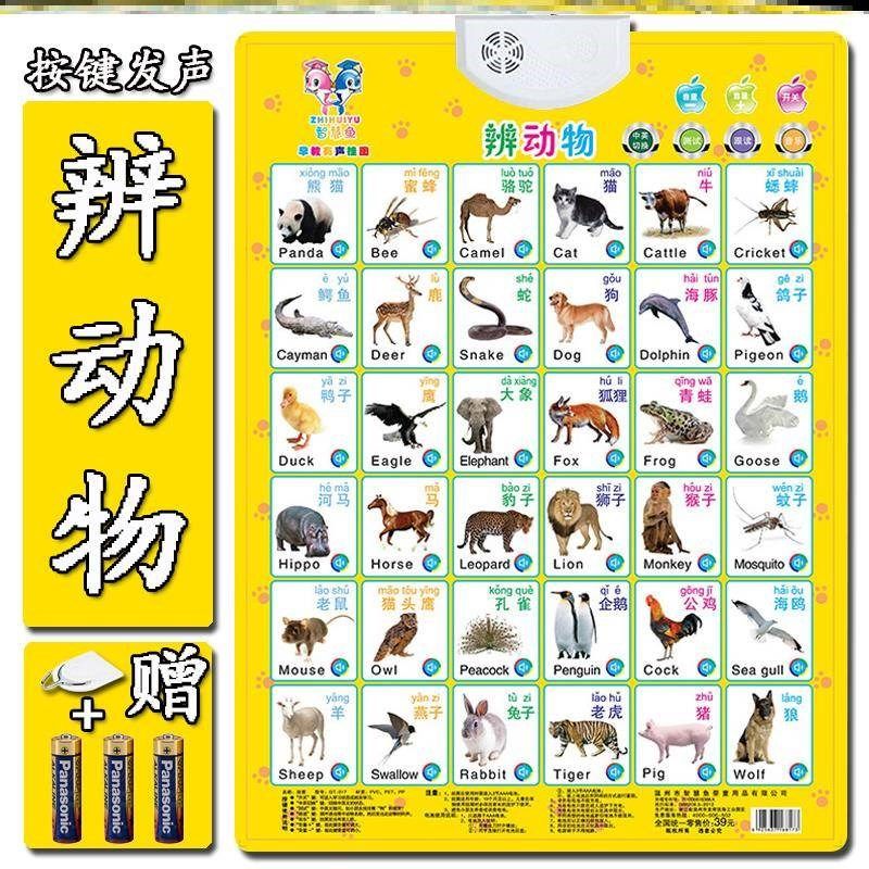 教识字卡认物数字墙画儿童宝宝学说话声挂图小孩语音早。