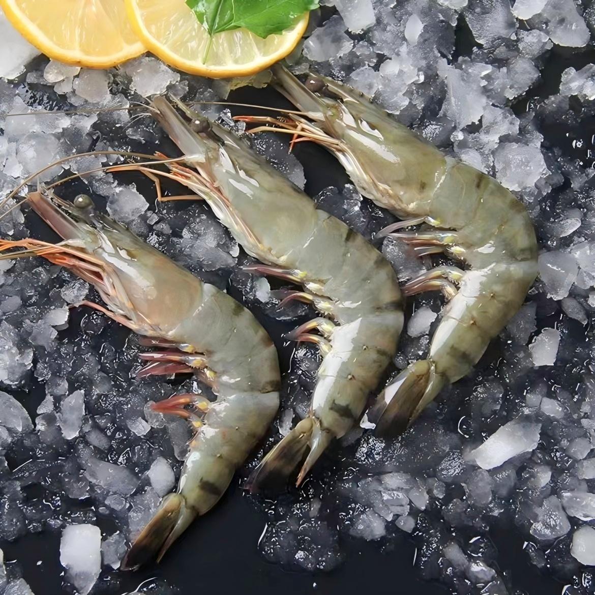 【胡可专属】活冻黑虎虾3040规格 400g/盒