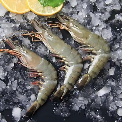 【胡可专属】活冻黑虎虾3040规格 400g/盒