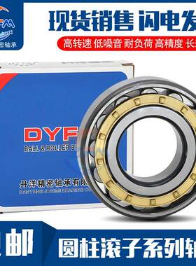 丹洋圆柱滚子轴承 N NU NJ RN NUP NF 308 309 310 311 E M C3 4K