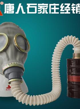 唐人牌防毒面具三件套全面罩苯甲醛氨气毒气氯气氰防毒滤毒罐