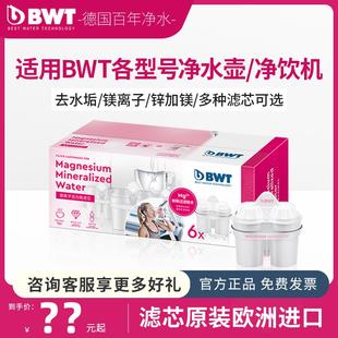 bwt滤芯德国倍世净水壶过滤壶滤芯家用净水器通用滤芯进口矿化芯