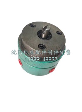 大连机床CDS6140A CDS6150C油泵 摆线油泵 润滑泵 DBB-3双向泵