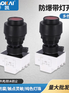 8030防爆防腐带指示灯控制自锁按钮塑料开孔30mm吸合开关手动复位