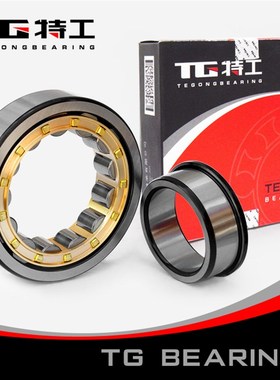 TG特工 圆柱滚子轴承NJ2313EM 42613EH内径65mm外径140mm宽48mm