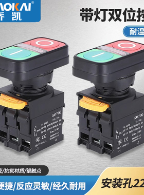 SAY7双位带灯复位按钮 启动停止开关22mm红绿 双键二联按钮