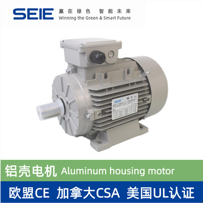 T801-4 550W  EA 460V 60HZ 铝壳电动机 加拿大CSA 美国UL认证电