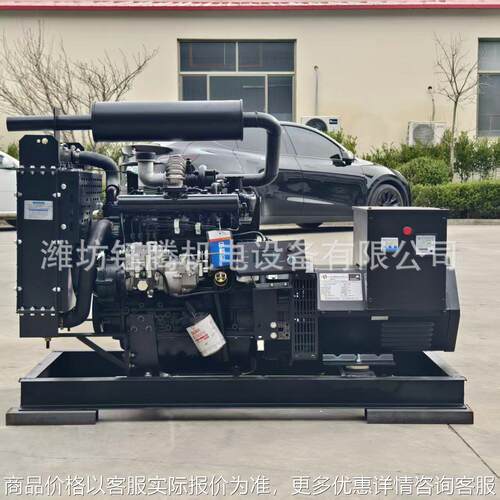 沼气发电机组应急备用电源大功率柴油机养猪场污水厂燃气发电机组
