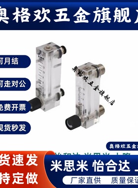 BMZ76 BMZ78-4 6-0.1 0.2 0.5 1A 1B 1 2 4 5 6 8 10浮子流量计40