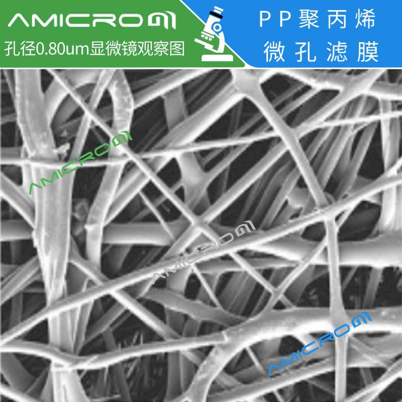 60mm有机聚丙烯pp微孔滤膜工业墨水板滤器膜实验室抽滤大孔径粗滤
