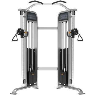 商用健身房力量器械无氧健身器械单双杠及提腿腹肌复合训练器1013