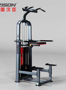 汉臣HARISON单双杠及提腿腹肌复合训练器商用器材 DISCOVER G1065