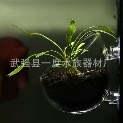 水族器材造景盆水草饲育造景盆培育水草造景盆水草培植造景水草杯