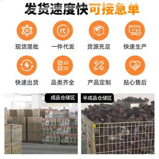 洗车水枪家用电动洗车机插电便携式喷枪浇花便携式高压洗车枪神器