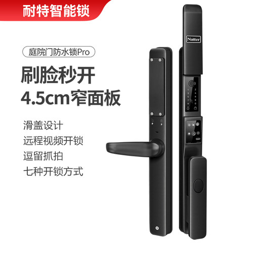耐特庭院门防水锁刷脸锁远程开锁