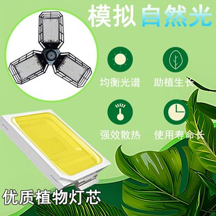 全光谱灯光合作用室内卉多肉仿太阳光照绿植生长补光灯